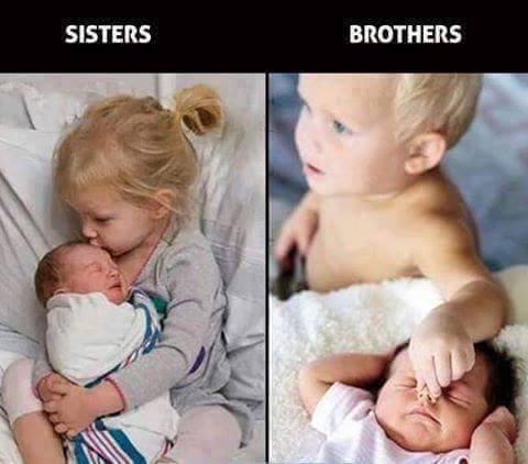 compare and contrast - sisters and brothers.jpg